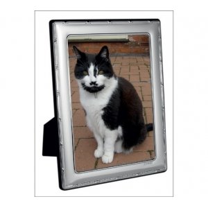 ribbon and reed pattern silver photo frame. 7 inch x 5 inch sight area