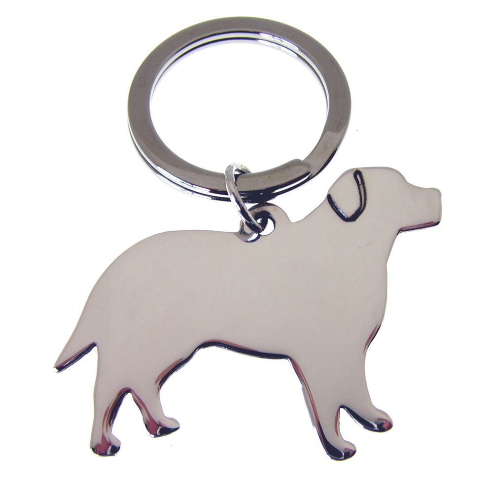 dog key chain