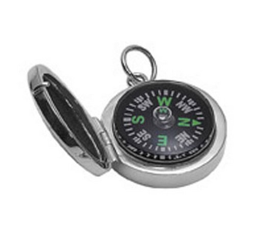 compass in hallmarked silver case